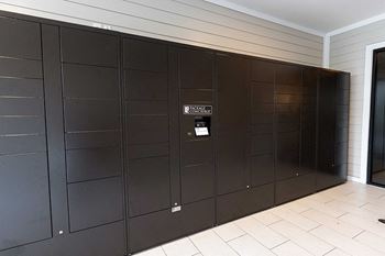 Electronic parcel locker system